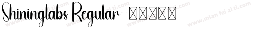 Shininglabs Regular字体转换